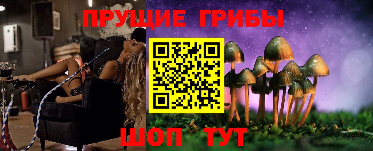 Псилоцибиновые грибы ЛСД Заводоуковск