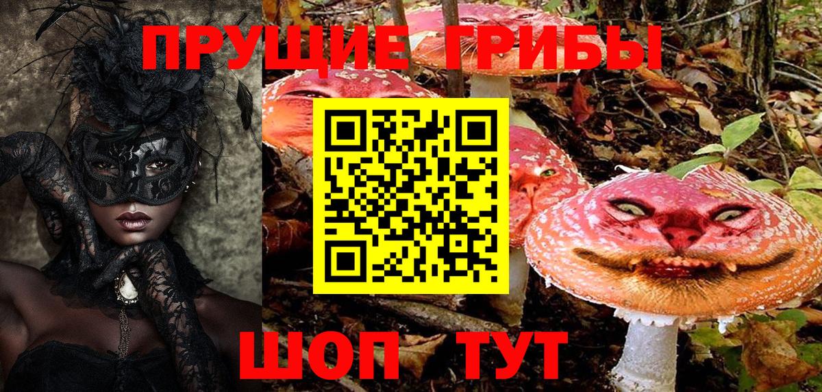 Заводоуковск  Галлюциногенные грибы Psilocybine cubensis  Вход с VPN 