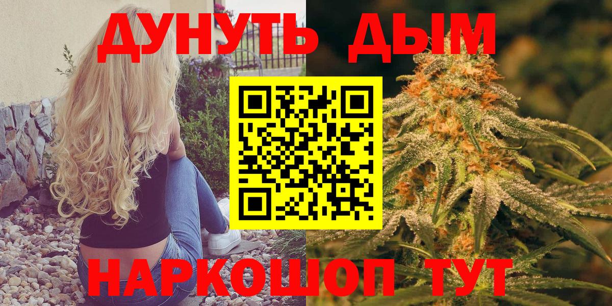 Бошки Шишки сатива  Вход с VPN  Заводоуковск  МАРИХУАНА гибрид 